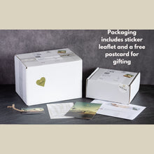 Load image into Gallery viewer, White Rustic Wooden Candle Pillar Holders | Candle Set for Living room decor