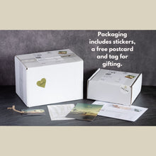 Load image into Gallery viewer, Soy Wax Coconut Shell Candle Sandalwood Scent and Vanilla Scent