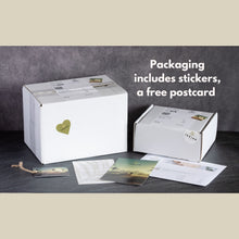 Load image into Gallery viewer, Gold Shell Tissue Box Cover Cube