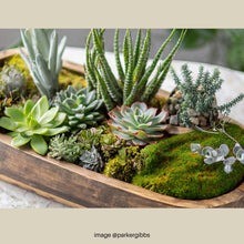 Load image into Gallery viewer, Wooden Dough Bowl Tray for Candle Table Scape 16 oz