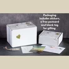 Load image into Gallery viewer, Tribal Beaded Cream and Black Storage Box
