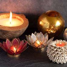 Load image into Gallery viewer, Cowrie Shell Sphere Candle
