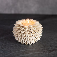 Load image into Gallery viewer, Cowrie Shell Sphere Candle

