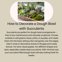 Load image into Gallery viewer, Wooden Dough Bowl Tray for Candle Table Scape 16 oz
