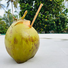 Load image into Gallery viewer, Bamboo Straws, Wooden Straw, Reusable Party Straw
