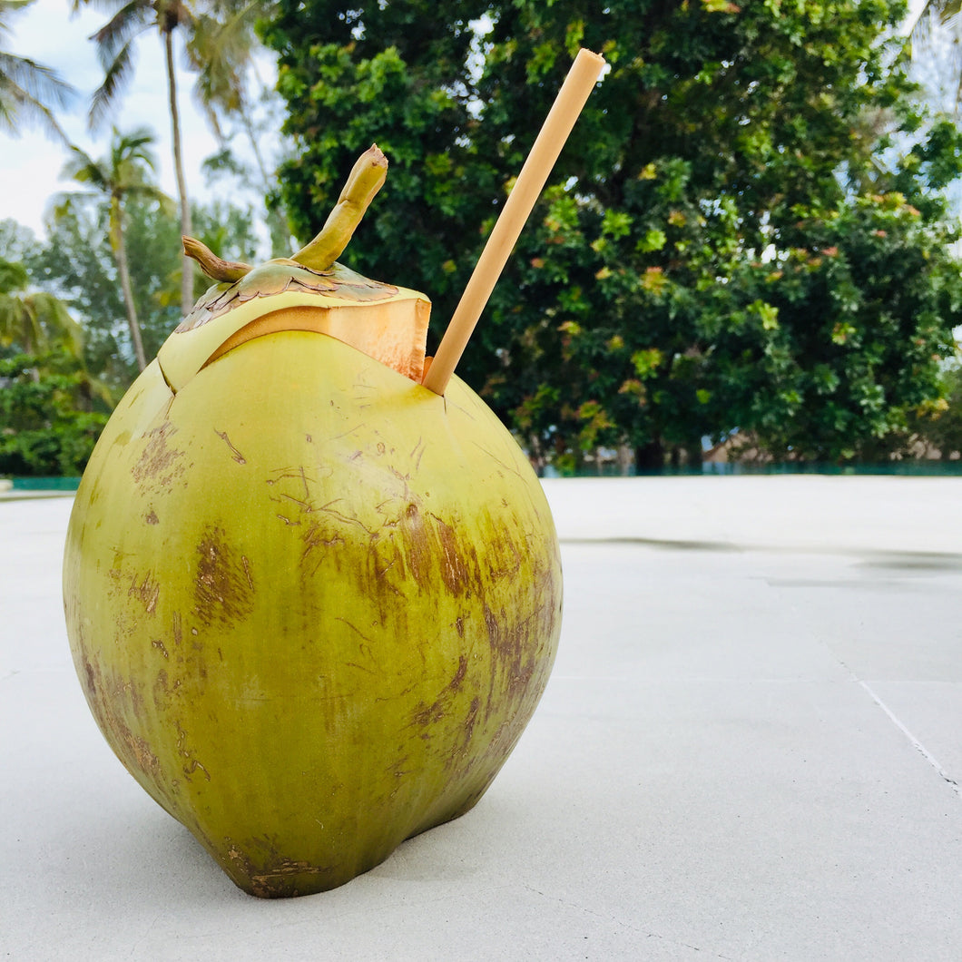 Bamboo Straws, Wooden Straw, Reusable Party Straw
